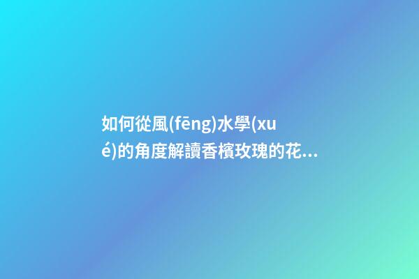 如何從風(fēng)水學(xué)的角度解讀香檳玫瑰的花語(yǔ)？（香檳玫瑰的花語(yǔ)和象征）